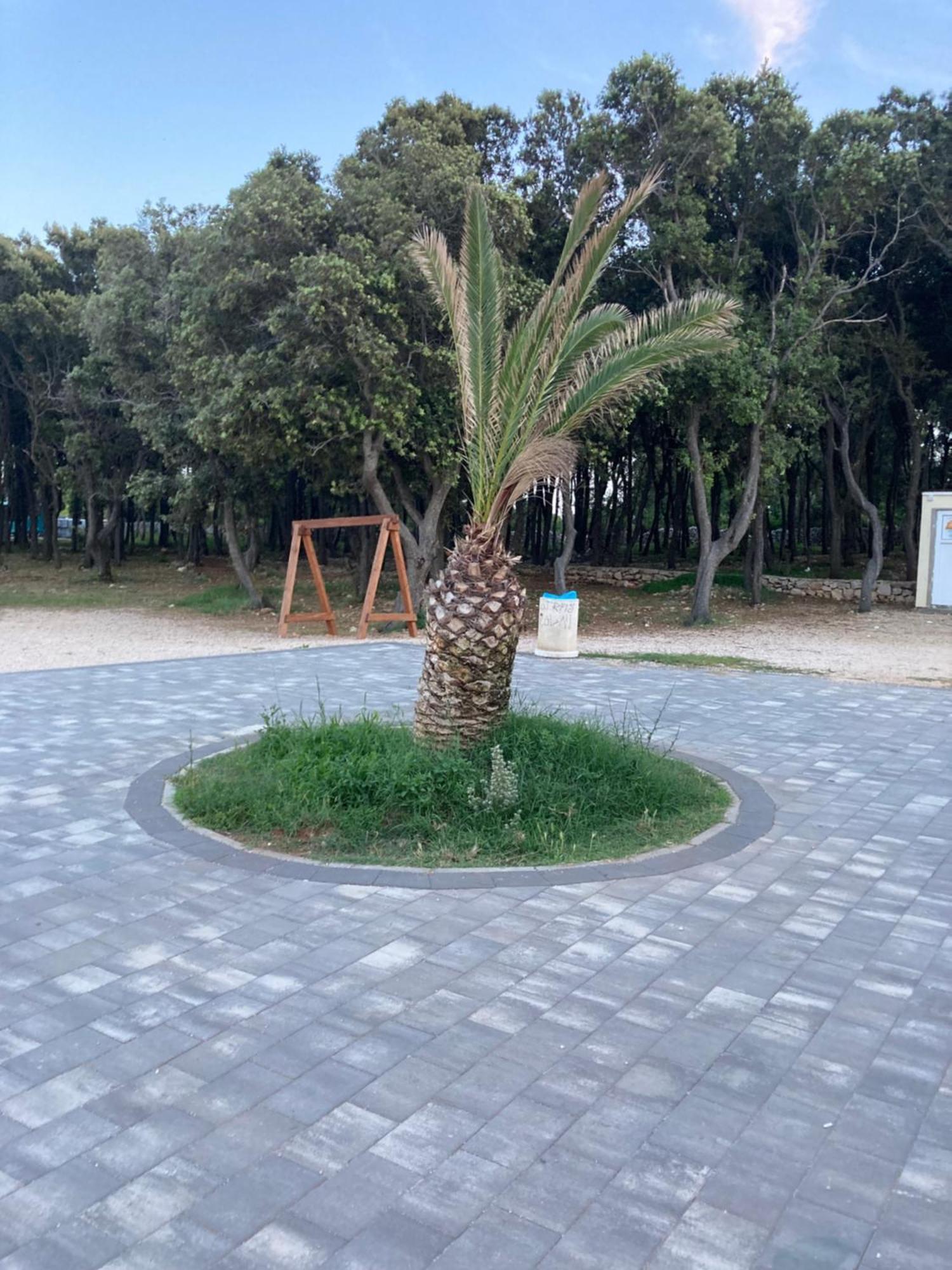 Kevin * Novalja